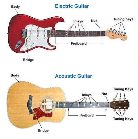 The parts of a guitar