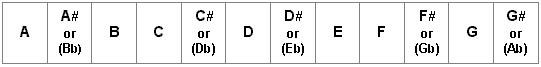 The names of the 12 notes used in music