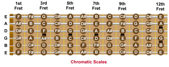 Guitar fretboard showing every note on each string in the first 12 frets